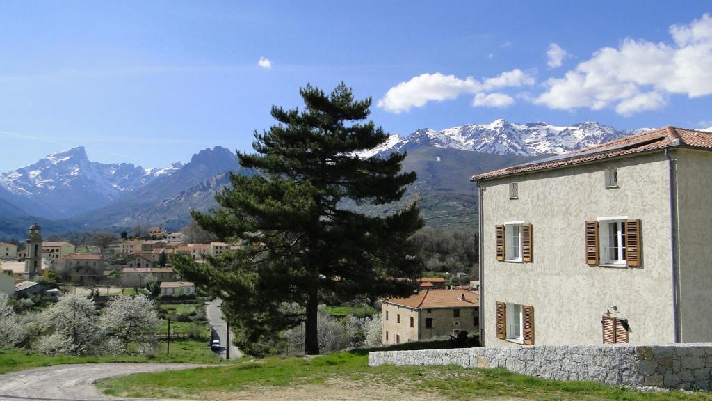 Casa Vanella Panzió Casamaccioli Kültér fotó